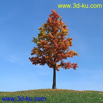 秋天树木模型,黄树叶,落叶,草地,秋天场景,秋季植物模型合集的图片