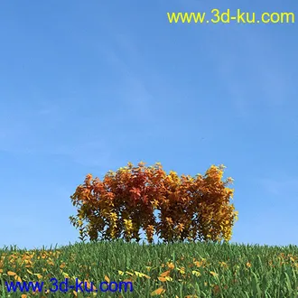 秋天树木模型,黄树叶,落叶,草地,秋天场景,秋季植物模型合集的图片