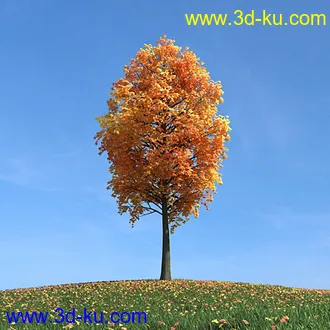 秋天树木模型,黄树叶,落叶,草地,秋天场景,秋季植物模型合集的图片18