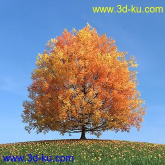 秋天树木模型,黄树叶,落叶,草地,秋天场景,秋季植物模型合集的图片19
