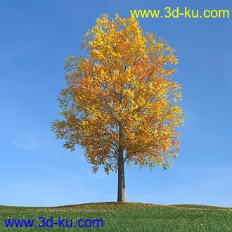 秋天树木模型,黄树叶,落叶,草地,秋天场景,秋季植物模型合集的图片20