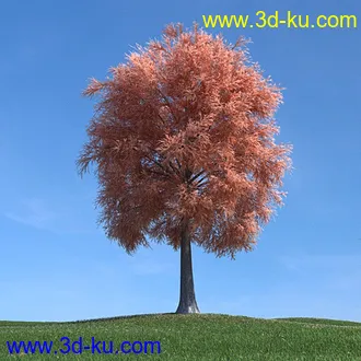 秋天树木模型,黄树叶,落叶,草地,秋天场景,秋季植物模型合集的图片