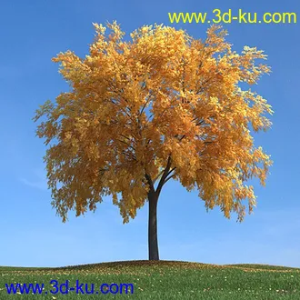 秋天树木模型,黄树叶,落叶,草地,秋天场景,秋季植物模型合集的图片22