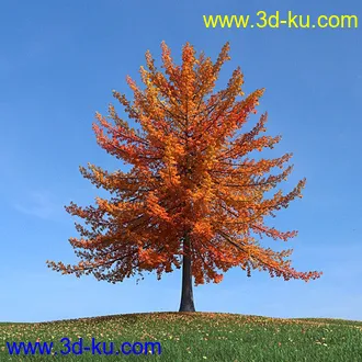 秋天树木模型,黄树叶,落叶,草地,秋天场景,秋季植物模型合集的图片23
