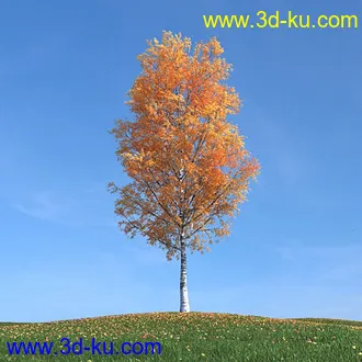 秋天树木模型,黄树叶,落叶,草地,秋天场景,秋季植物模型合集的图片