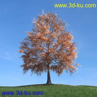 秋天树木模型,黄树叶,落叶,草地,秋天场景,秋季植物模型合集的图片