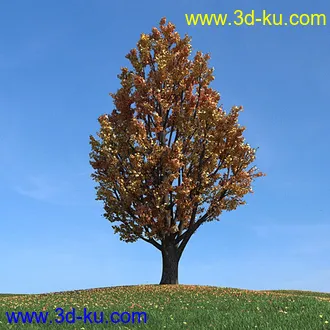 秋天树木模型,黄树叶,落叶,草地,秋天场景,秋季植物模型合集的图片