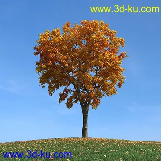 秋天树木模型,黄树叶,落叶,草地,秋天场景,秋季植物模型合集的图片