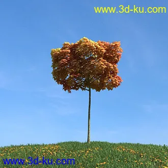 秋天树木模型,黄树叶,落叶,草地,秋天场景,秋季植物模型合集的图片35