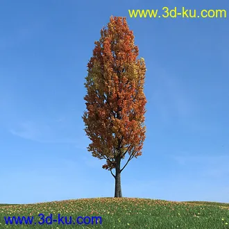 秋天树木模型,黄树叶,落叶,草地,秋天场景,秋季植物模型合集的图片36