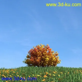 秋天树木模型,黄树叶,落叶,草地,秋天场景,秋季植物模型合集的图片39