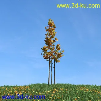 秋天树木模型,黄树叶,落叶,草地,秋天场景,秋季植物模型合集的图片