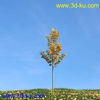 秋天树木模型,黄树叶,落叶,草地,秋天场景,秋季植物模型合集的图片