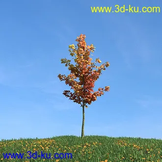 秋天树木模型,黄树叶,落叶,草地,秋天场景,秋季植物模型合集的图片