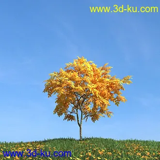 秋天树木模型,黄树叶,落叶,草地,秋天场景,秋季植物模型合集的图片