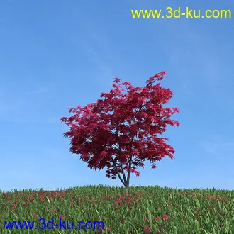 秋天树木模型,黄树叶,落叶,草地,秋天场景,秋季植物模型合集的图片44