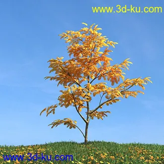 秋天树木模型,黄树叶,落叶,草地,秋天场景,秋季植物模型合集的图片