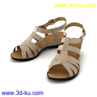 夹趾凉鞋,沙滩鞋,平底鞋,女凉鞋,休闲鞋,一字扣真皮鞋,布鞋,运动鞋,模型合集的图片