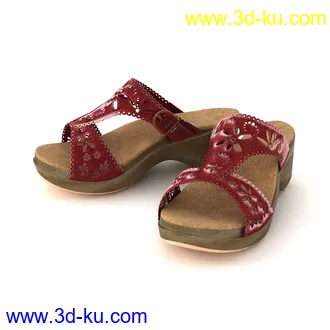 夹趾凉鞋,沙滩鞋,平底鞋,女凉鞋,休闲鞋,一字扣真皮鞋,布鞋,运动鞋,模型合集的图片