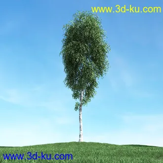 春天植物模型,茂盛树木,各类树木模型,树模型,春季植物模型合集的图片