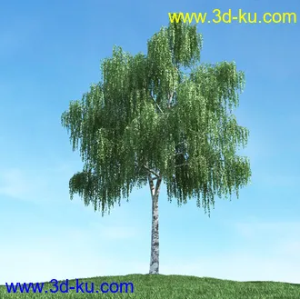 春天植物模型,茂盛树木,各类树木模型,树模型,春季植物模型合集的图片24