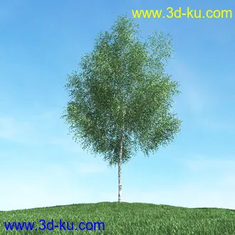 春天植物模型,茂盛树木,各类树木模型,树模型,春季植物模型合集的图片34