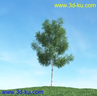 春天植物模型,茂盛树木,各类树木模型,树模型,春季植物模型合集的图片37