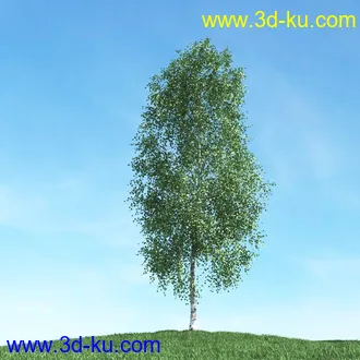 春天植物模型,茂盛树木,各类树木模型,树模型,春季植物模型合集的图片38