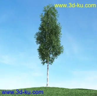 春天植物模型,茂盛树木,各类树木模型,树模型,春季植物模型合集的图片39