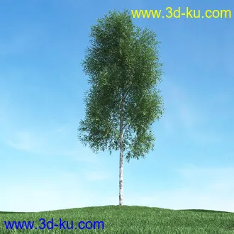 春天植物模型,茂盛树木,各类树木模型,树模型,春季植物模型合集的图片41