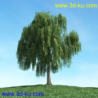 春天植物模型,茂盛树木,各类树木模型,树模型,春季植物模型合集的图片45