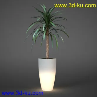 壁灯模型,立地灯,埋地灯,台灯,墙灯,铁艺灯,玻璃灯,箱灯,定向灯,艺术灯,走廊灯,节能灯,灯模型合集的图片