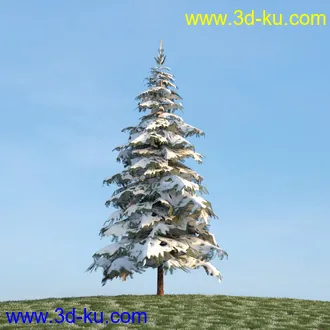 杨树,松树,柳树,椴树,桤木,桦木,银杏树,山楂树,云杉树,植物,树木模型合集的图片4