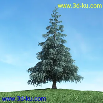 树木模型,植物模型,松树模型,森林模型,各种树木模型合集的图片13