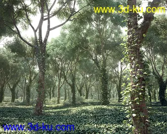 树木模型,植物模型,松树模型,森林模型,各种树木模型合集的图片