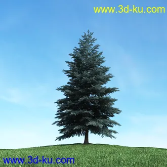 树木模型,植物模型,松树模型,森林模型,各种树木模型合集的图片