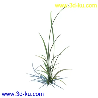 稗子,稗草,小野芝麻,菵草,西洋蒲公英,梯牧草,虉草,大荨麻,车前子,小草模型合集的图片