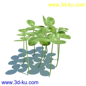 虉草,欧芹,北艾,杂草,白车轴草,剪股颖,海冬青,芦苇,蕨麻,宽叶香蒲,植物模型合集的图片