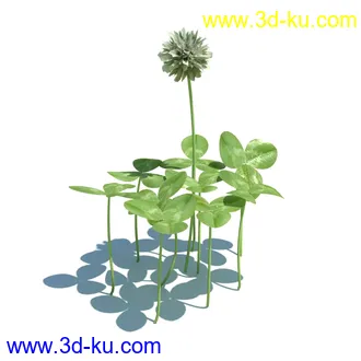 虉草,欧芹,北艾,杂草,白车轴草,剪股颖,海冬青,芦苇,蕨麻,宽叶香蒲,植物模型合集的图片