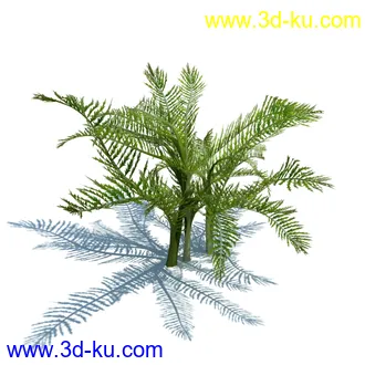 虉草,欧芹,北艾,杂草,白车轴草,剪股颖,海冬青,芦苇,蕨麻,宽叶香蒲,植物模型合集的图片34