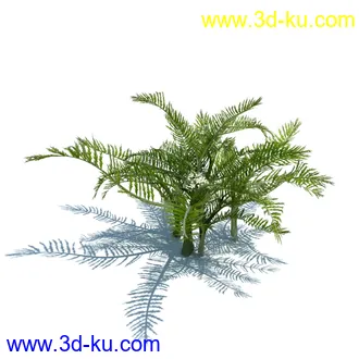 虉草,欧芹,北艾,杂草,白车轴草,剪股颖,海冬青,芦苇,蕨麻,宽叶香蒲,植物模型合集的图片35