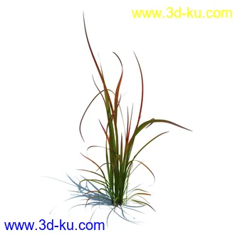 翼蓟,小麦,黑麦草,欧洲滨草,羊茅,装饰草,白茅,蒲苇,问荆草,草模型,植物模型合集的图片16