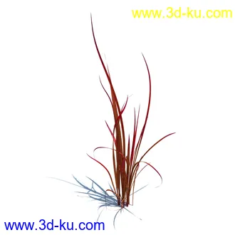 翼蓟,小麦,黑麦草,欧洲滨草,羊茅,装饰草,白茅,蒲苇,问荆草,草模型,植物模型合集的图片17