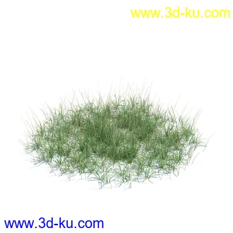 虞美人,长药八宝,草丛,三棱草,欧洲油菜,羽扇豆,大翅蓟,大石头模型,草,植物模型合集的图片1