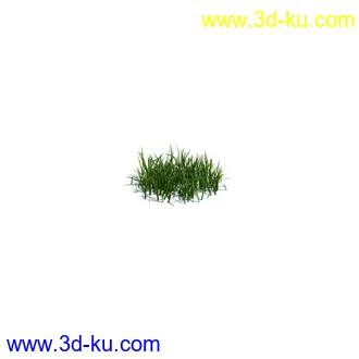 虞美人,长药八宝,草丛,三棱草,欧洲油菜,羽扇豆,大翅蓟,大石头模型,草,植物模型合集的图片3