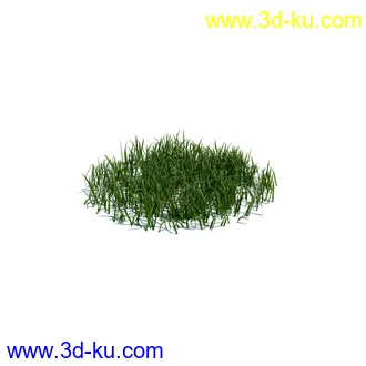 虞美人,长药八宝,草丛,三棱草,欧洲油菜,羽扇豆,大翅蓟,大石头模型,草,植物模型合集的图片4