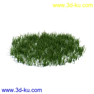 虞美人,长药八宝,草丛,三棱草,欧洲油菜,羽扇豆,大翅蓟,大石头模型,草,植物模型合集的图片