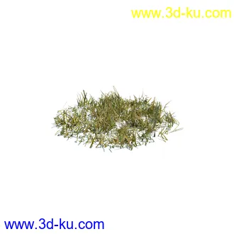 虞美人,长药八宝,草丛,三棱草,欧洲油菜,羽扇豆,大翅蓟,大石头模型,草,植物模型合集的图片