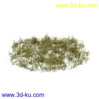 虞美人,长药八宝,草丛,三棱草,欧洲油菜,羽扇豆,大翅蓟,大石头模型,草,植物模型合集的图片