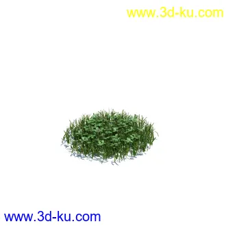 虞美人,长药八宝,草丛,三棱草,欧洲油菜,羽扇豆,大翅蓟,大石头模型,草,植物模型合集的图片